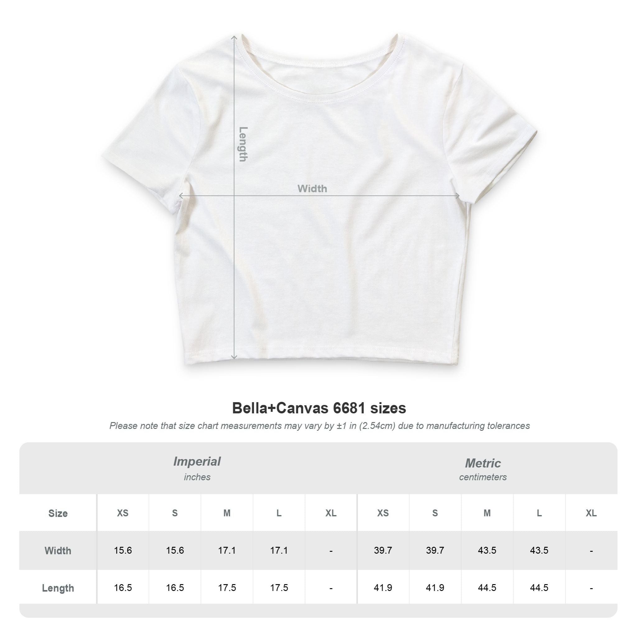 StaySeven Brand Still Rare Crop Tee —